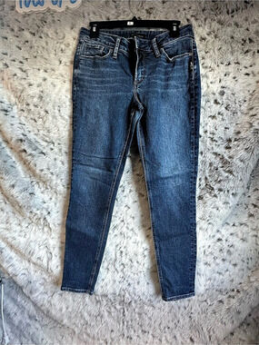Silver Jeans Co. Women's Blue Skinny Jeans Like New. 29/29